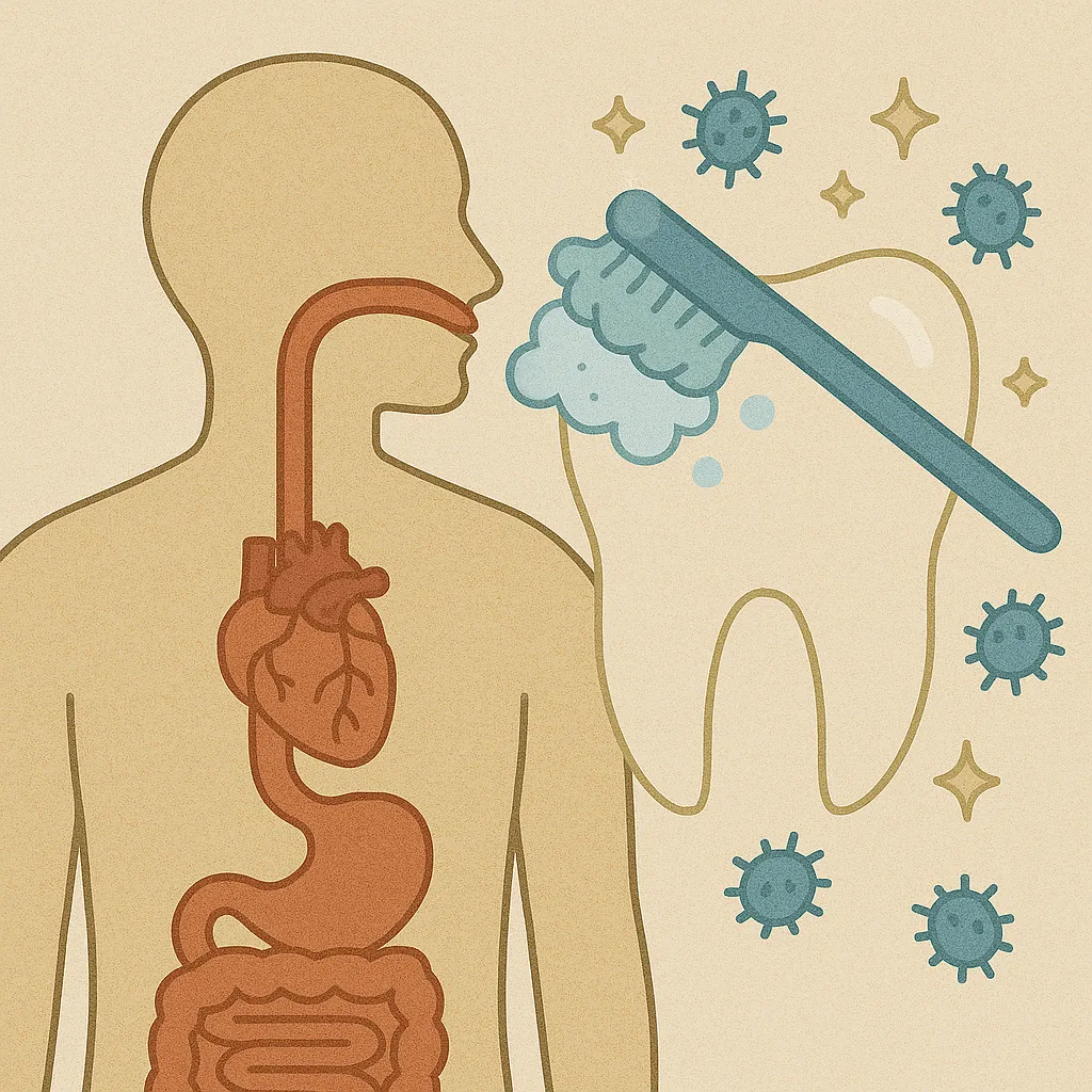 구강-청결이-심장과-소화기관-등-전신-건강에-영향을-주는-원리를-상징적으로-표현한-일러스트-치아와-인체-장기-구조가-함께-그려진-이미지