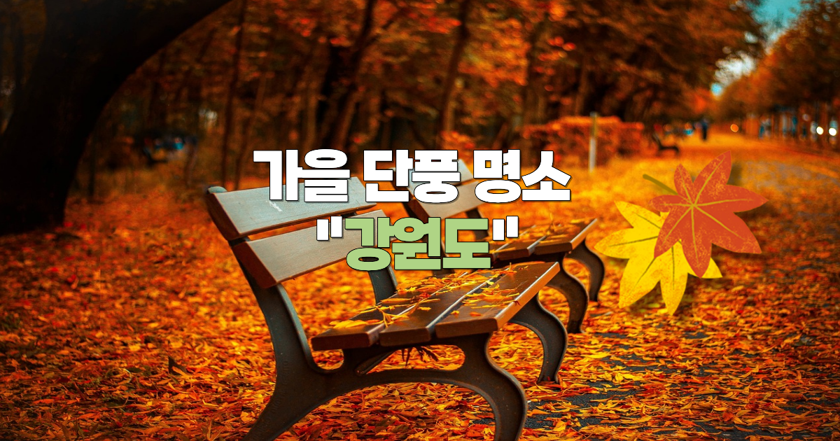 2025 강원도 단풍 명소 추천