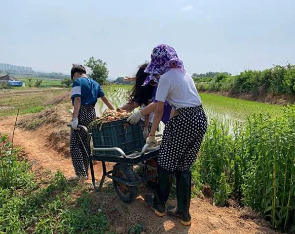 로렌츠감성치유시골체험