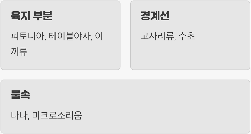 생명을 불어넣는 시간, 식물 심기