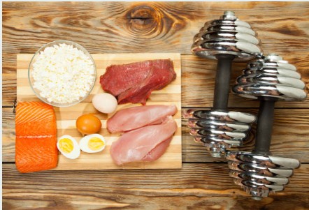 크레아틴의 기원과 생리적 메커니즘