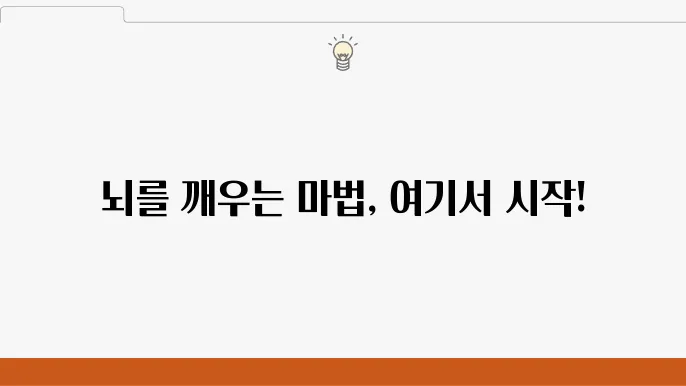 뇌 영양제 추천 정보! 뇌 기능 영양제 BEST 5