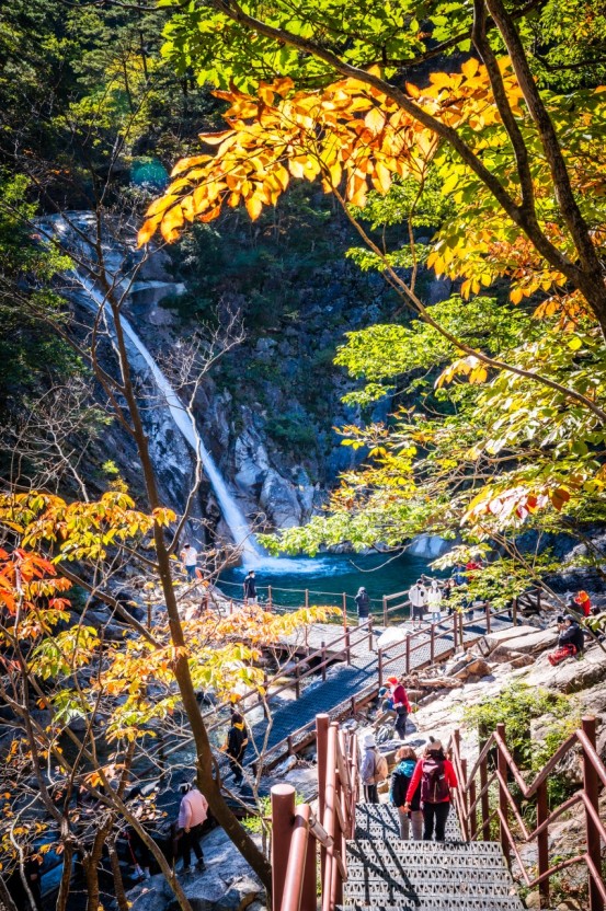 설악산 단풍시기
