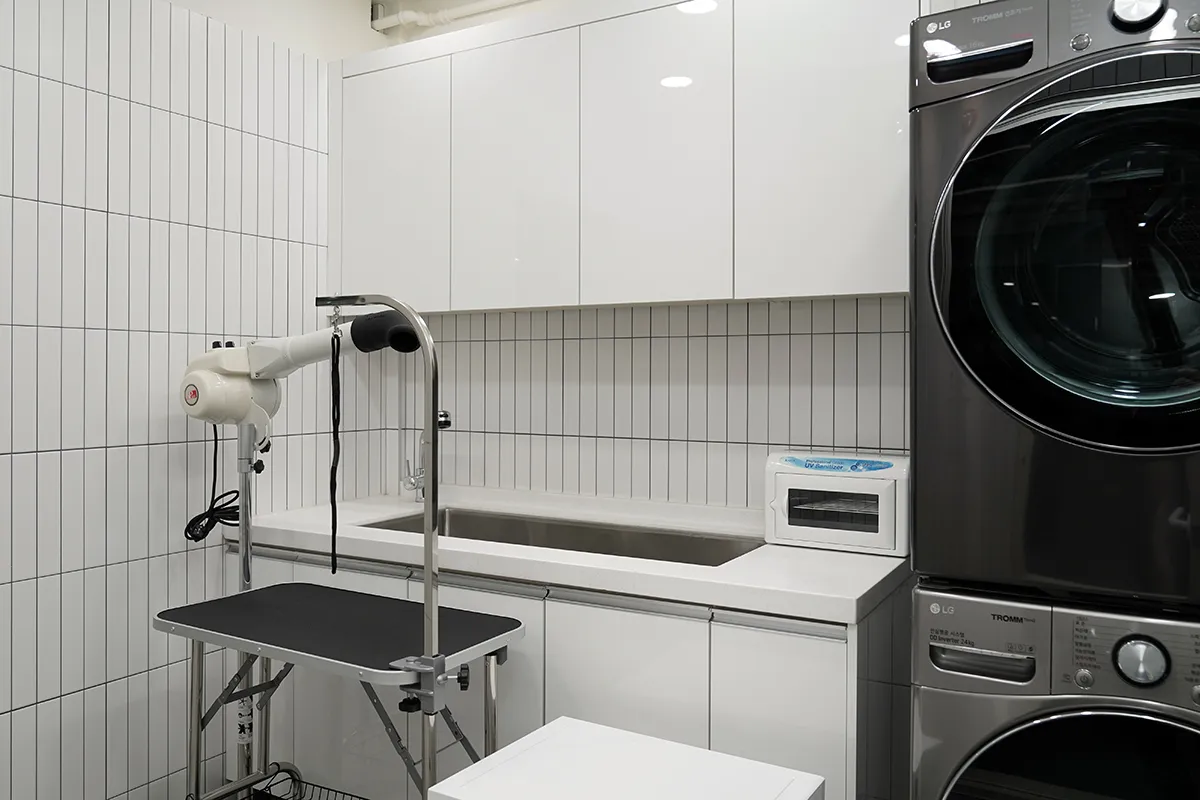 반려동물 돌봄센터