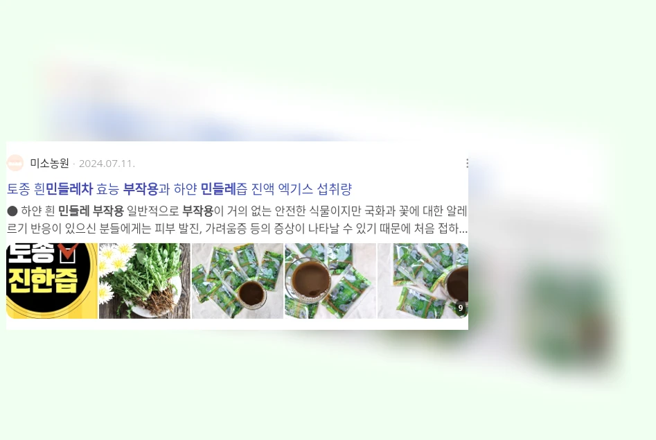 민들레차 부작용_3_subsection