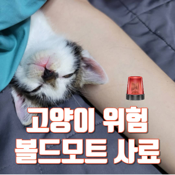 고양이 볼드모트 사료, 급성 신경·근육병증, 사료 리스트