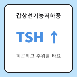 갑상선기능저하증 TSH 높음