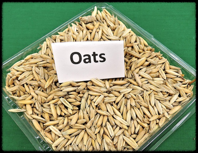 오트밀 효능_이미지2