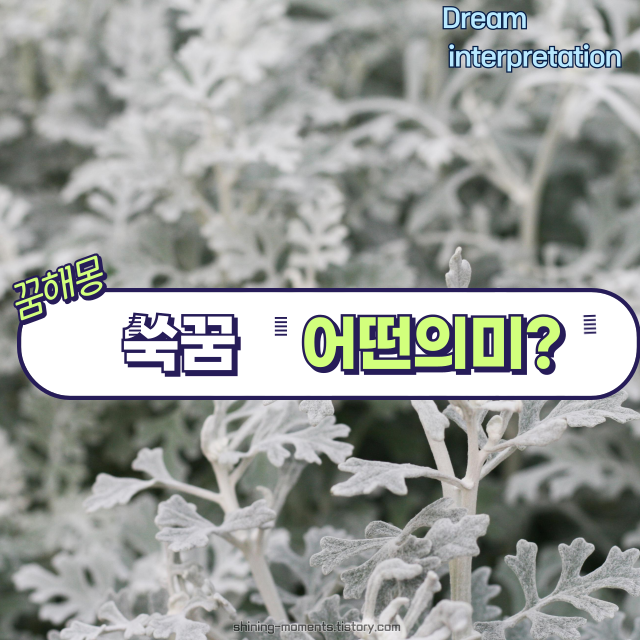 🌿 봄날 쑥 꿈 해몽 20가지 – 자연이 주는 메시지