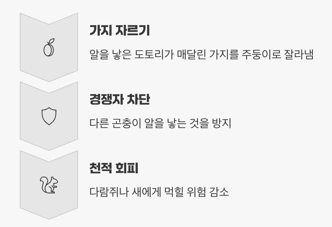 3. 가장 극적인 선택, 가지를 자르다