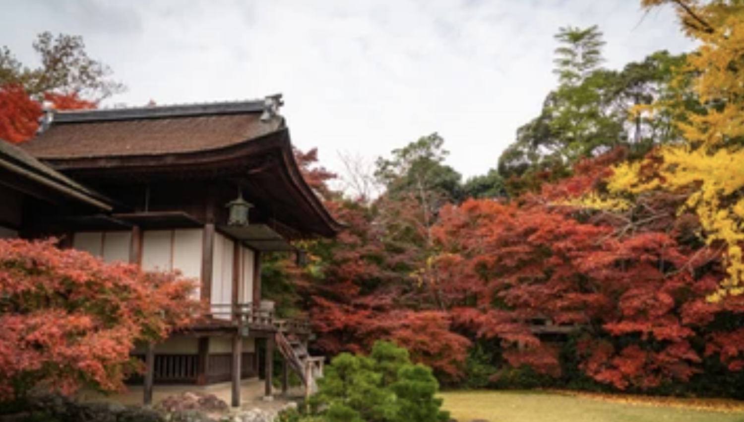 2023 오사카 & 교토 단풍 시기 명소 가볼만한곳 BEST 05