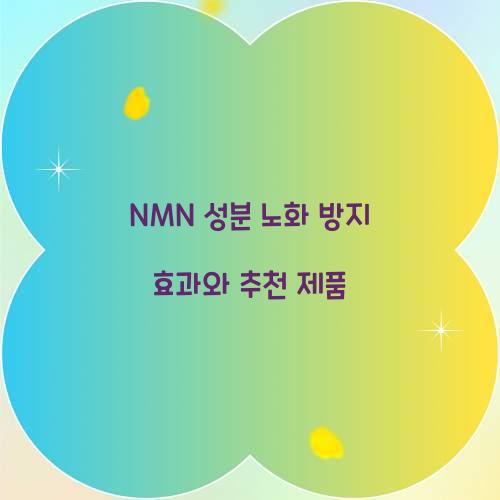 NMN 성분 노화 방지