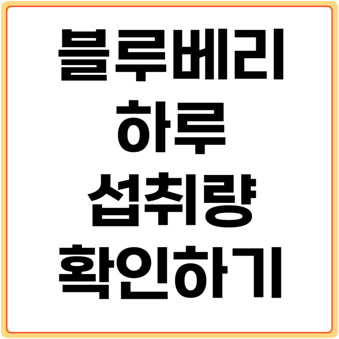 블루베리-하루-섭취량-확인하기