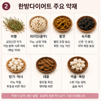 한방다이어트-한약-부작용-비용-후기-저렴한-제품-종류