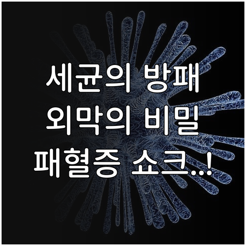 그람음성균 외막 방어 체계와 내독소 ..