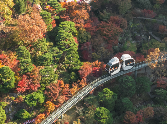 화담숲 가을 단풍 예약