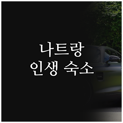 나트랑 해변 근처 호텔 추천! 인생 ..