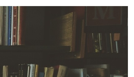 먼지다듬이 벌레