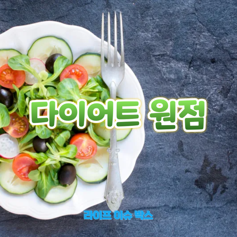 다이어트 원점