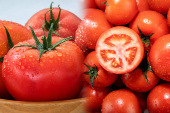 2023년 유방암에 좋은 음식 베스트 모음