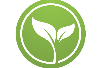 친환경 농산물 인증 마크의 의미와 신뢰성