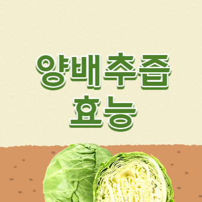 양배추즙-썸네일