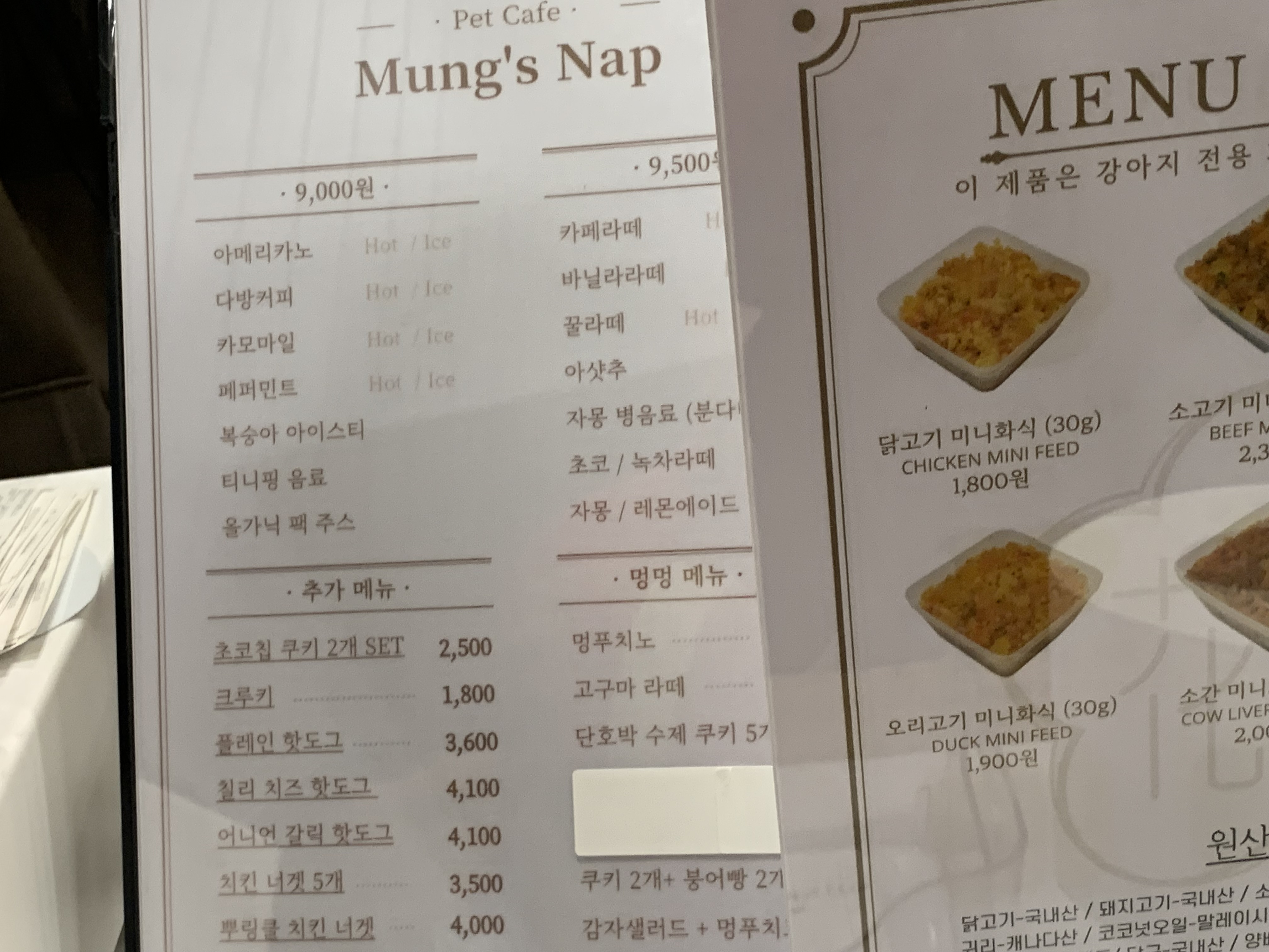 부천 부천시청 애견카페 애견유치원 애견호텔 멍스냅