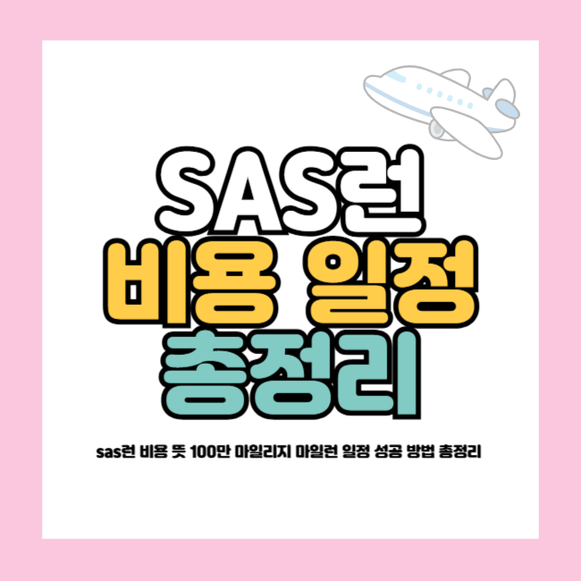 sas런 비용