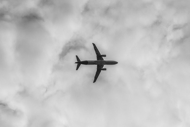 청주공항-제주공항 운항 비행기 항공기 시간표 예약4