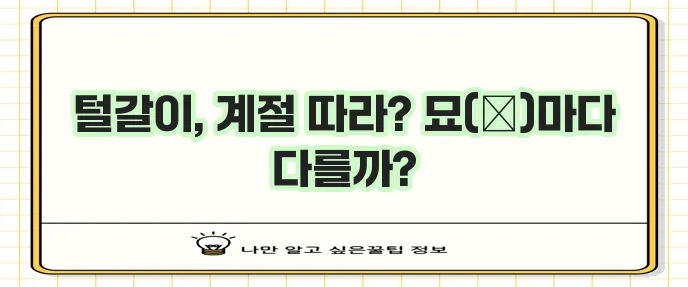 고양이 털갈이 시기는 언제일까요?