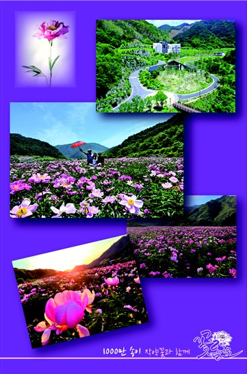  제 18회 꼴두바우축제란?