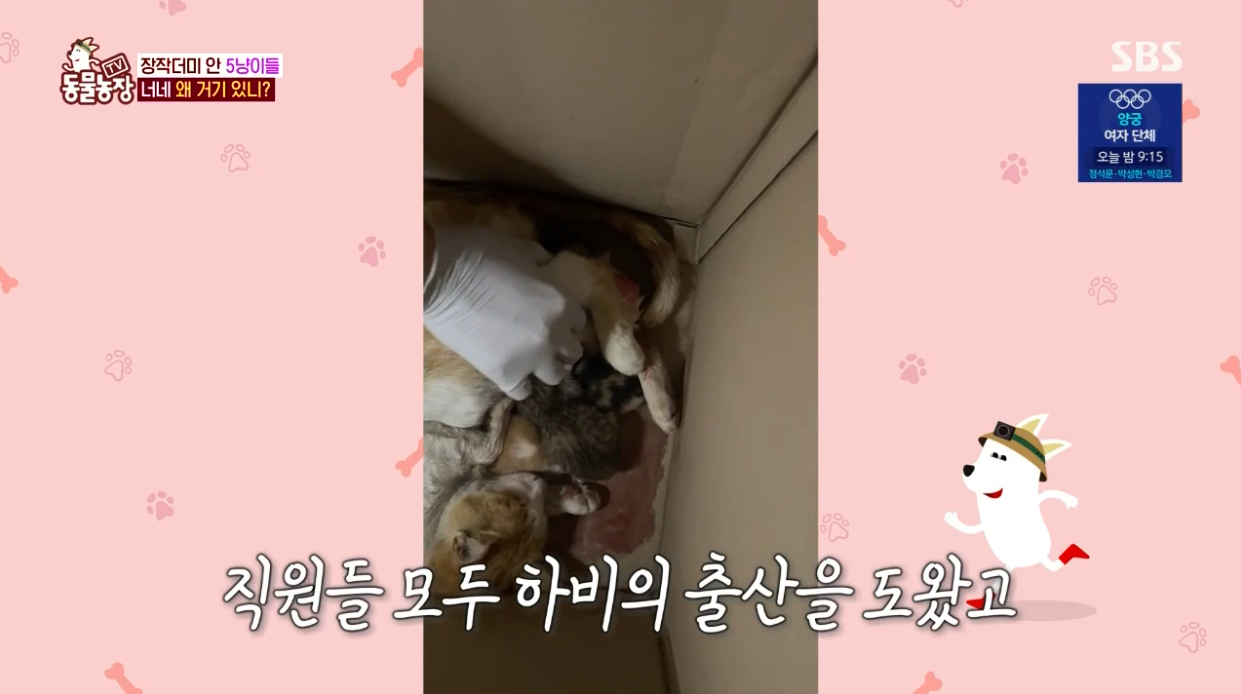 동물농장