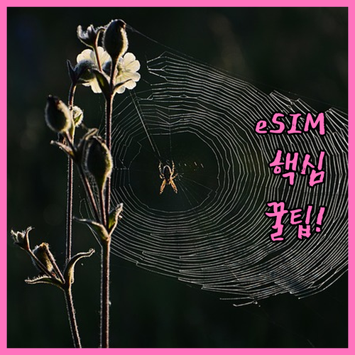 알닷 eSIM 사용 전 구매 설치 로..