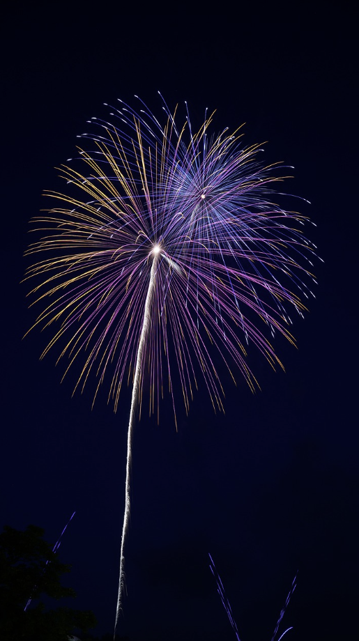피나클랜드 불꽃축제