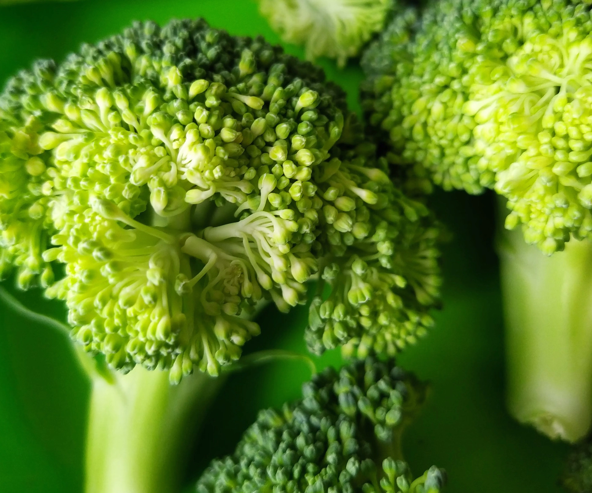 공복혈당 내리는법