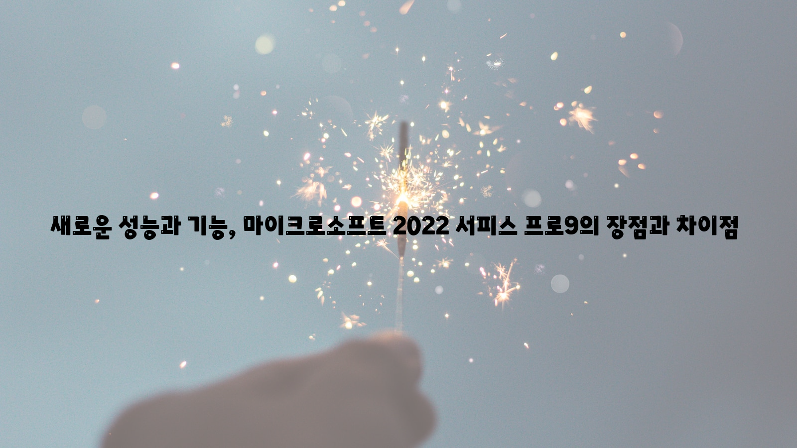 성능, 기능, 차이점