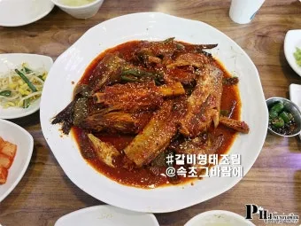 속초 바람 방향 영금정 산책 계단 휴식 포인트 소개_10