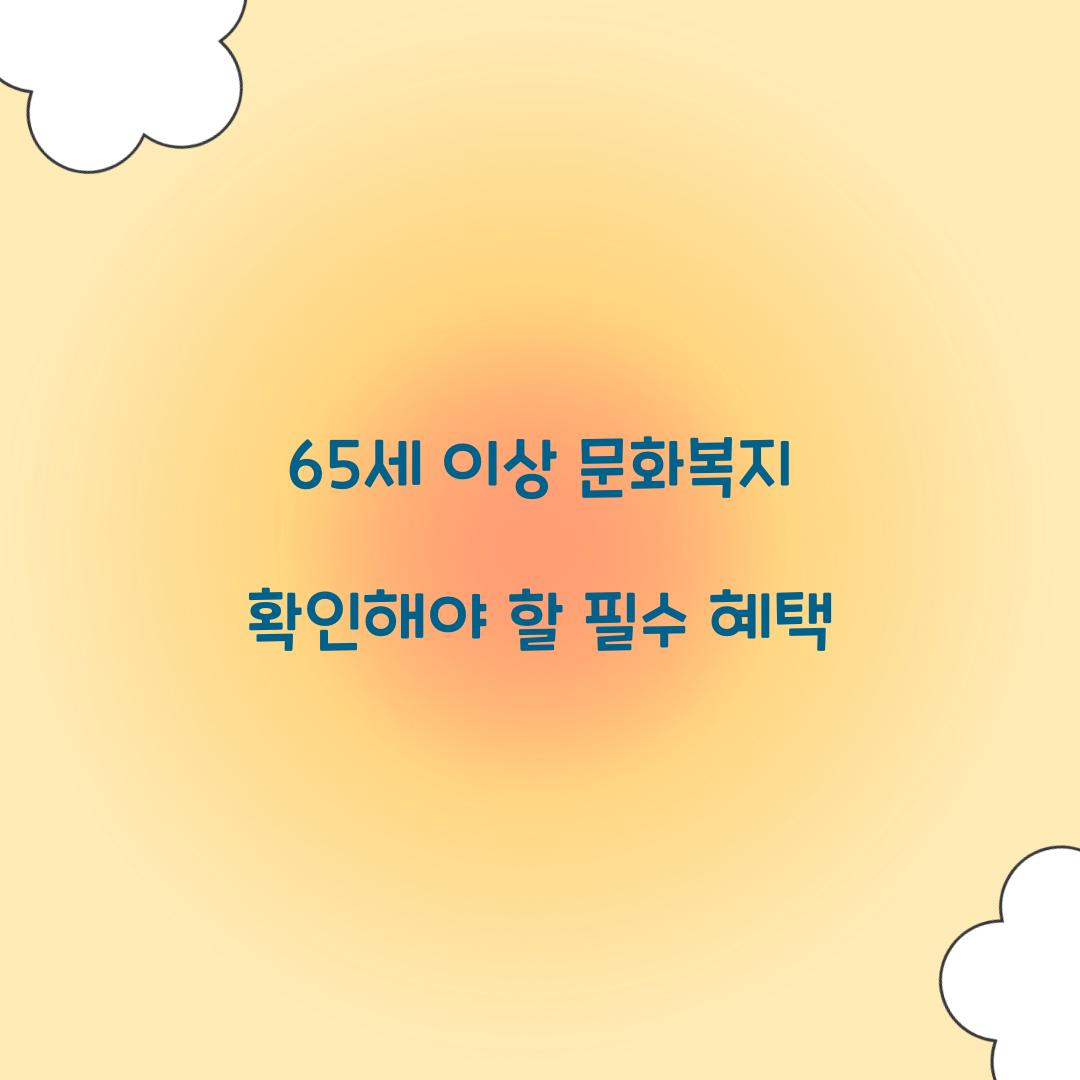 65세 이상 문화복지