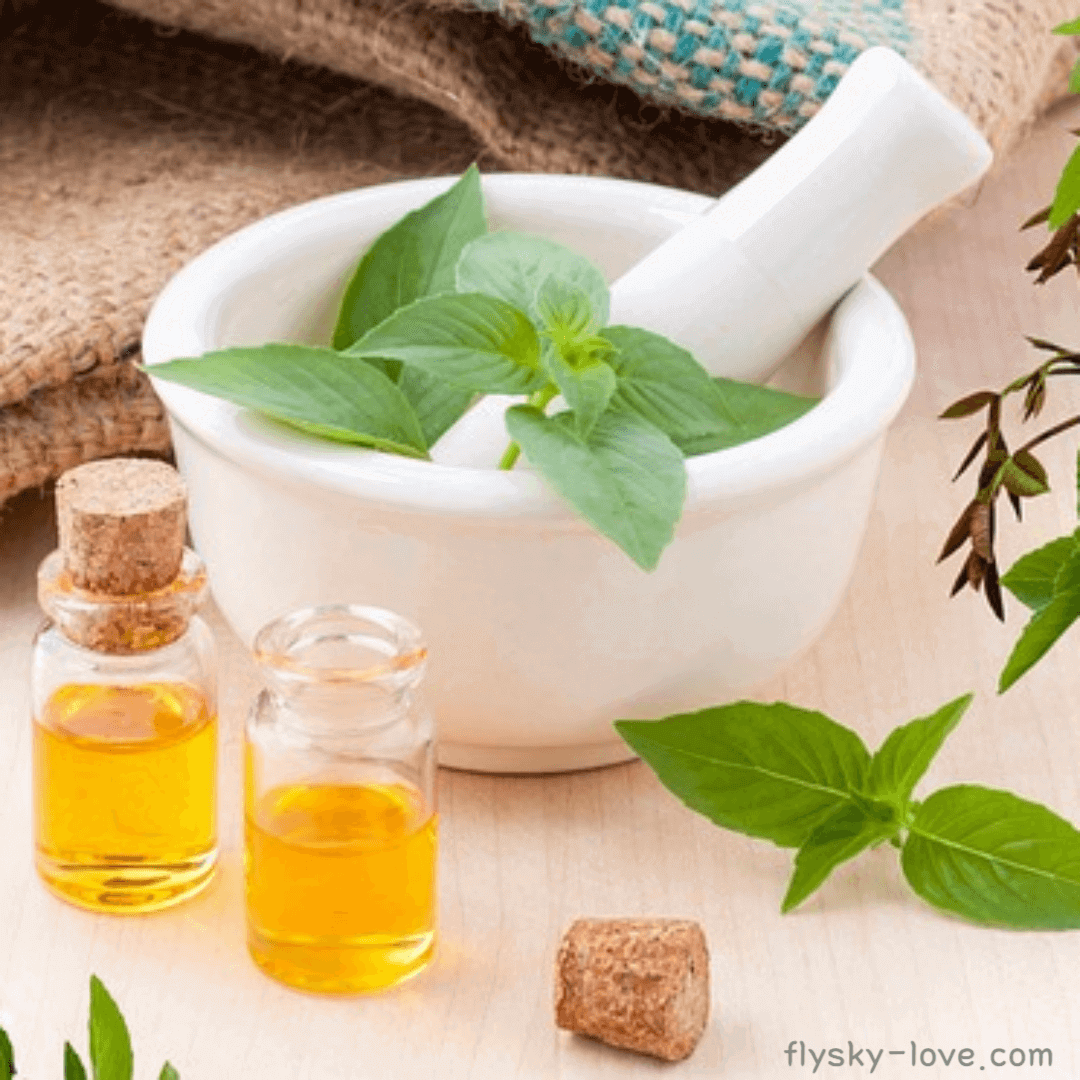 아로마테라피(aromatherapy)