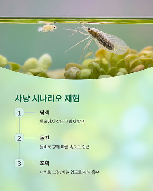 물땡땡이의 사냥 시나리오