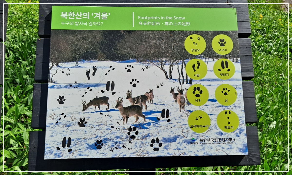 북한산의-겨울-안내판