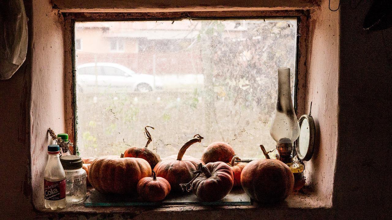 10월에 먹으면 좋은 제철 음식 제철 과일 제철 수산물 늙은 호박