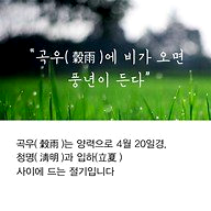 곡우 뜻 ❘ 24절기 정리