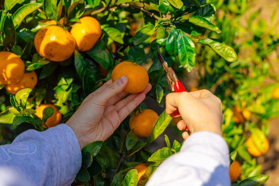 제주 겨울여행 나만의 취향으로 만나는 7가지 여행