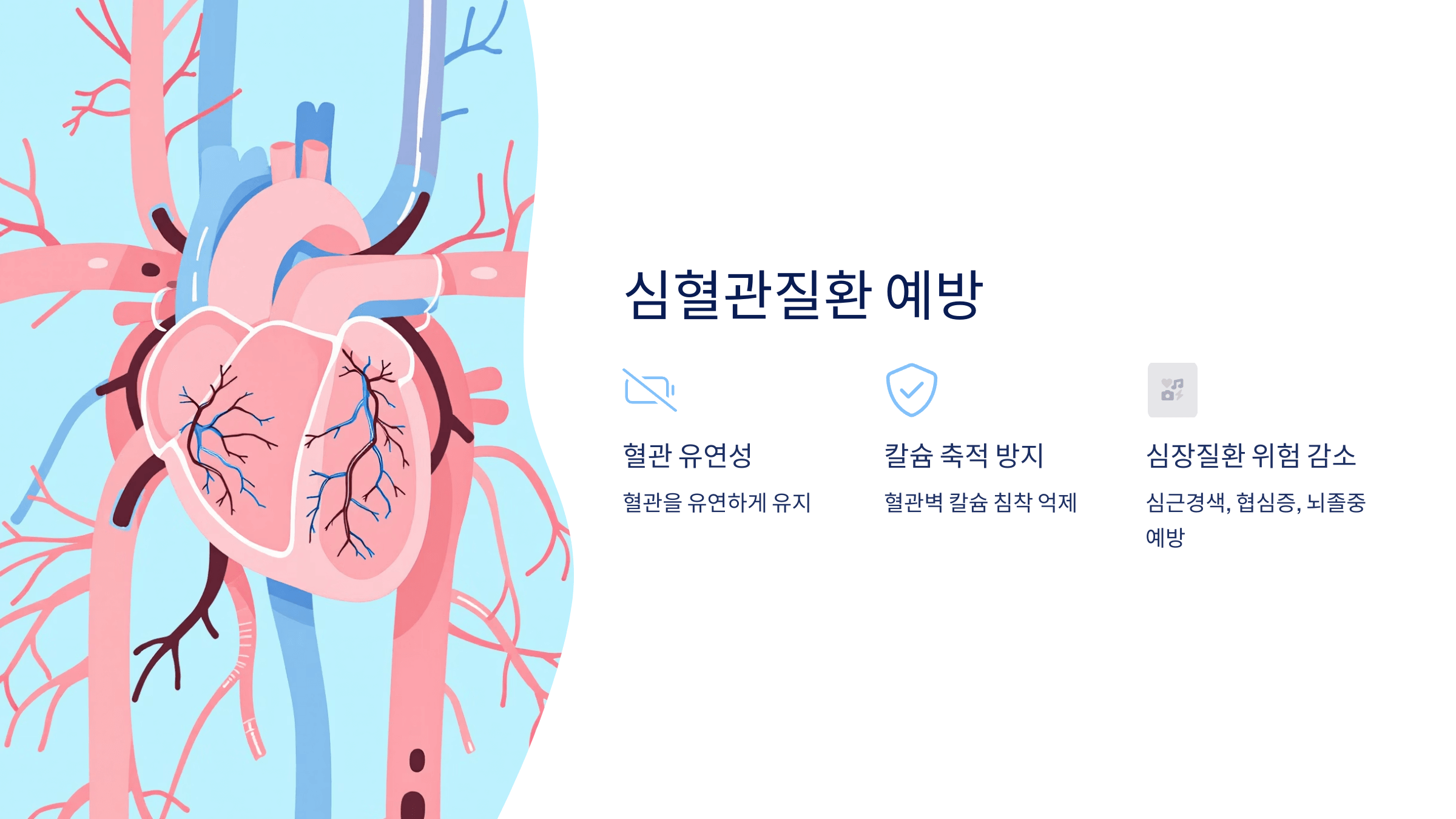 비타민K2 사진입니다.