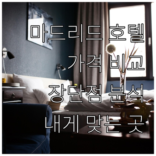 마드리드 호텔 6곳 가격 장단점 비교! 나에게 맞는 곳은? 마드리드 호텔 6곳 가격 장단점 비교