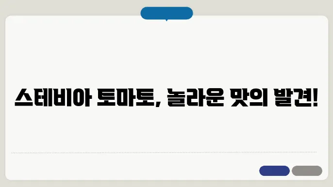 스테비아 토마토 모종