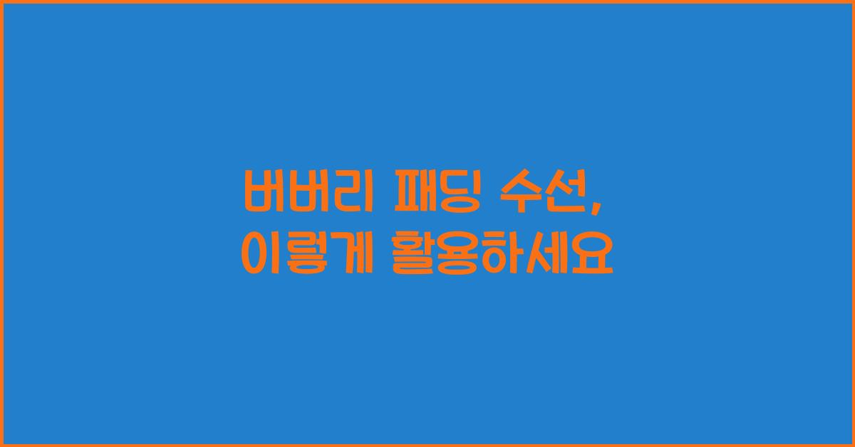 버버리 패딩 수선