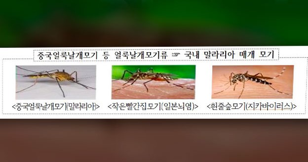 김포 말라리아 경보 발령 소식