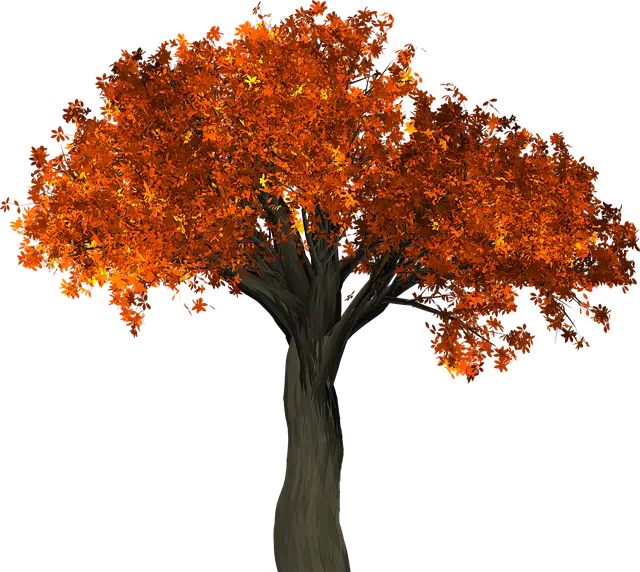 중년 채팅 어플